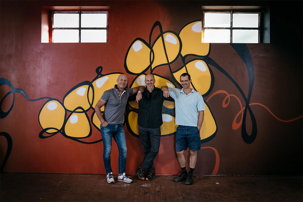 Ronco Blanchis Ronco Blanchis