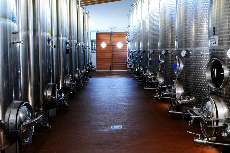 Ronco Blanchis Ronco Blanchis