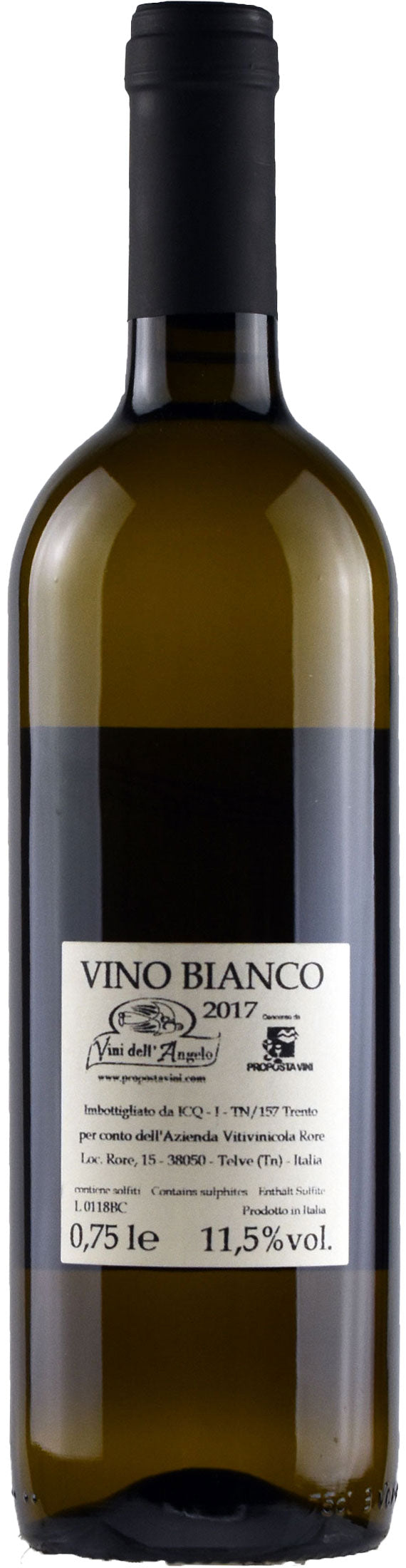 Rore Vernaza Zinesa 2017