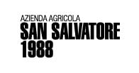 San Salvatore 1988 logo San Salvatore 1988 logo