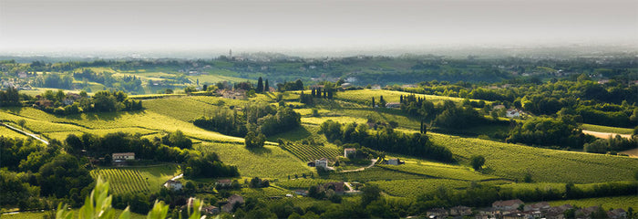 Sanfeletto