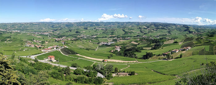 SanSilvestro