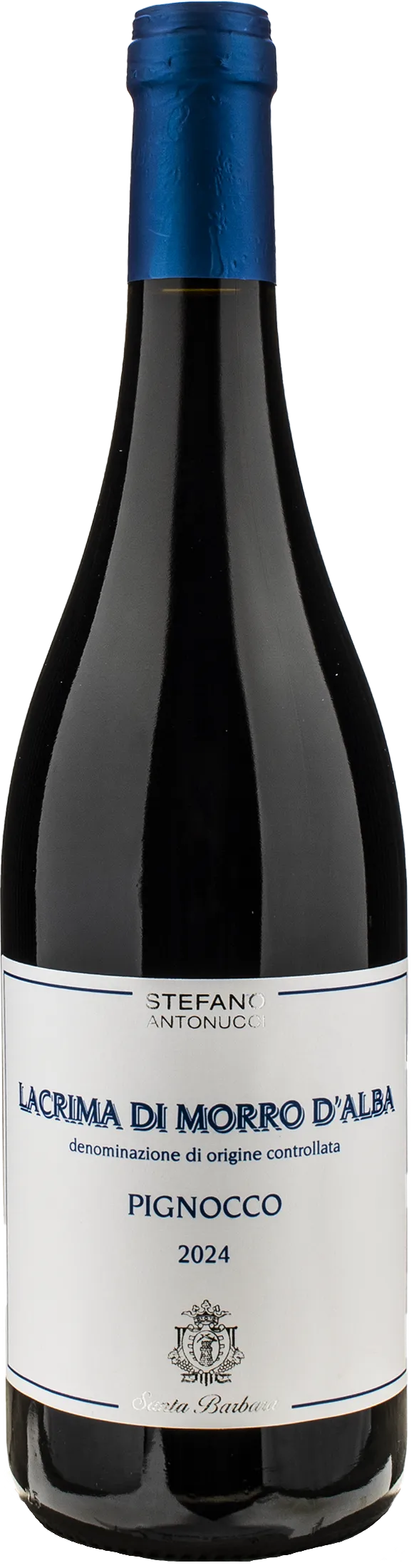 Santa Barbara Lacrima di Morro d'Alba Pignocco 2024