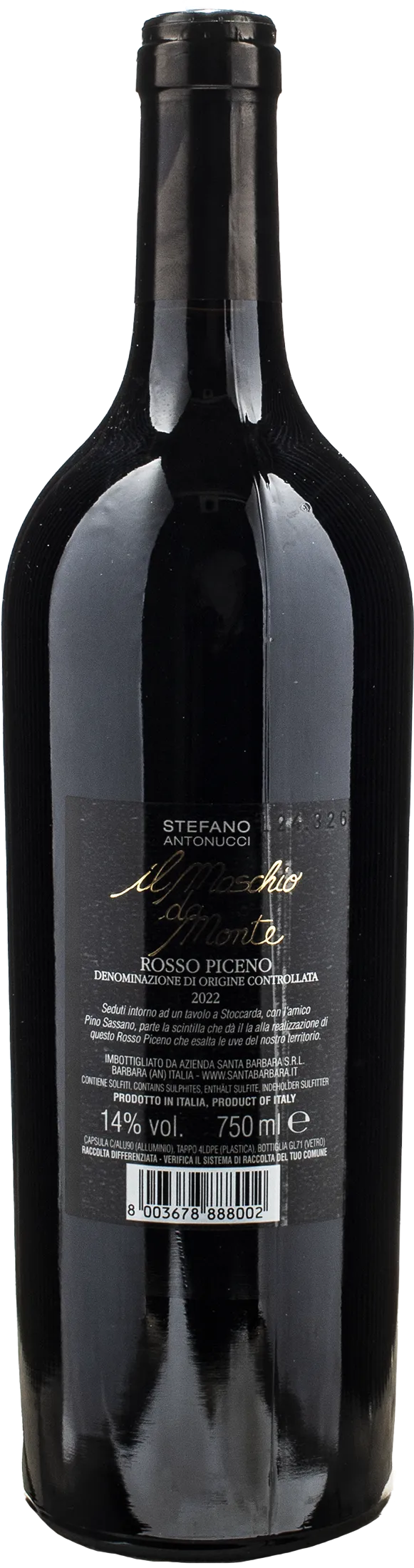 Santa Barbara Rosso Piceno Maschio da Monte 2022