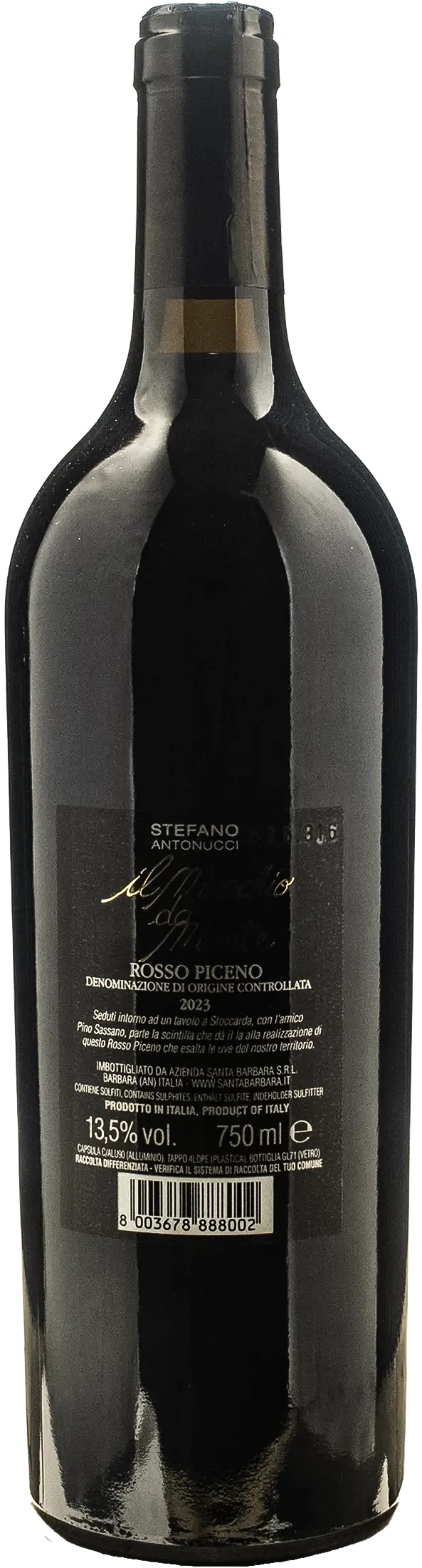 Santa Barbara Rosso Piceno Maschio da Monte 2023