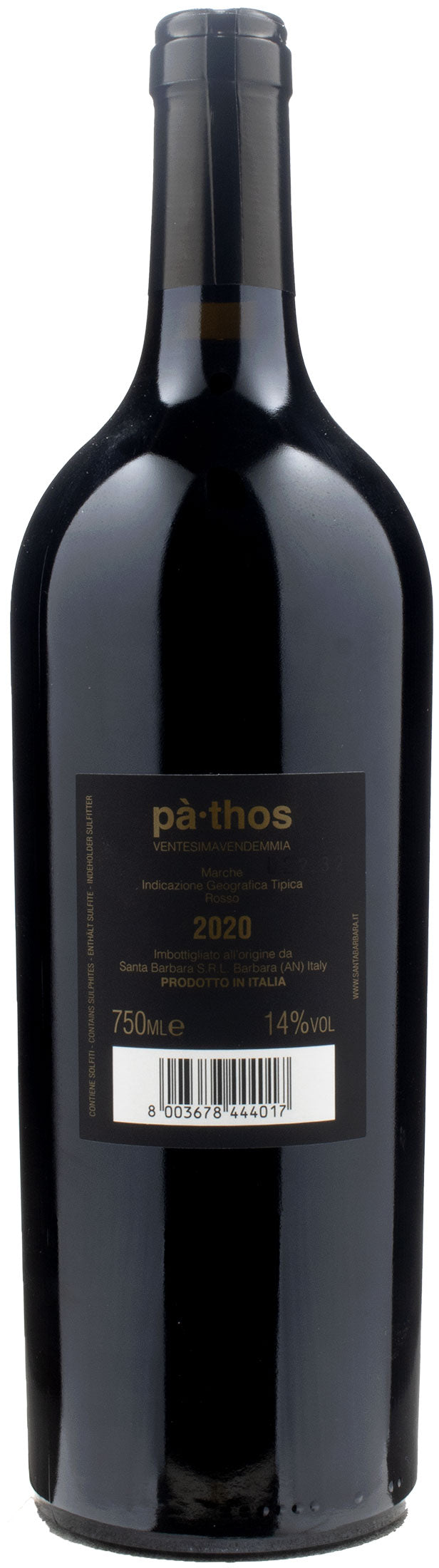 Santa Barbara Stefano Antonucci Pathos 2020