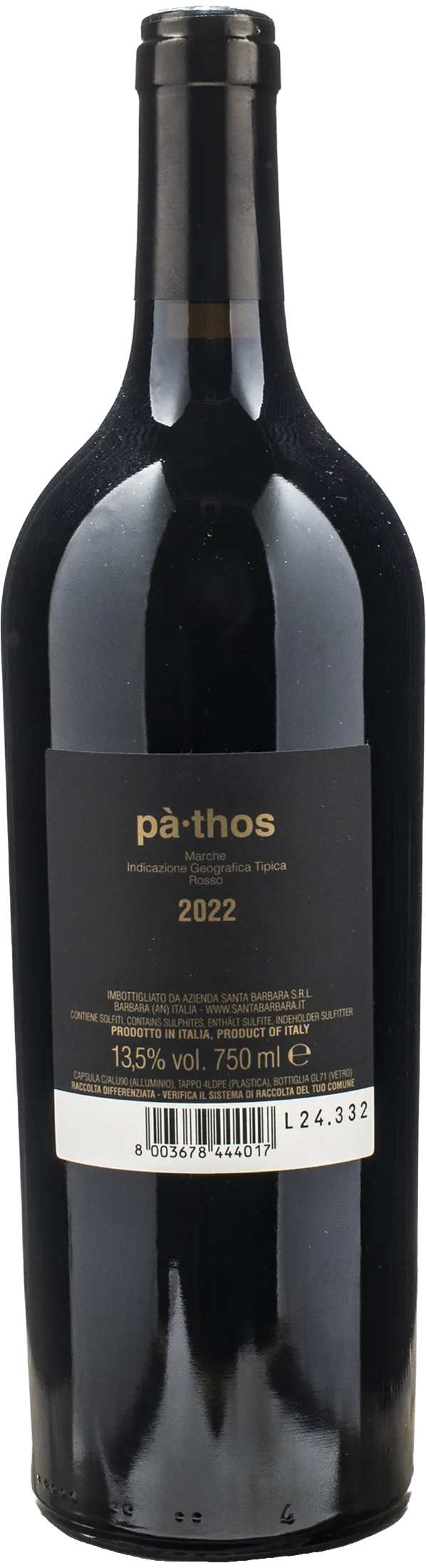 Santa Barbara Stefano Antonucci Pathos 2022