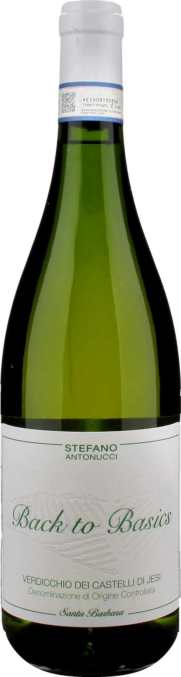 Santa Barbara Verdicchio Castelli di Jesi Back to Basics 2025