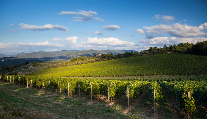 Santa Cristina (Antinori)
