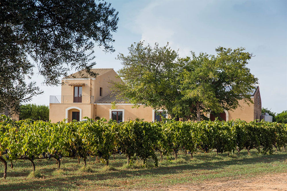 Santa Tresa Santa Tresa