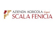Scala Fenicia logo Scala Fenicia logo