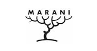 Sergio Marani logo Sergio Marani logo