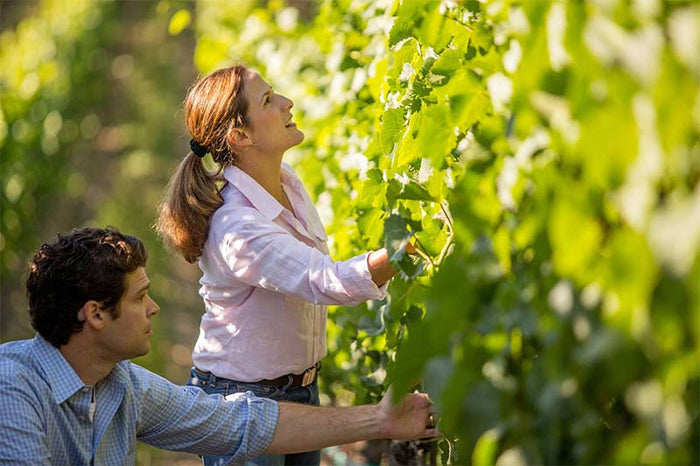 Shared Notes Wines