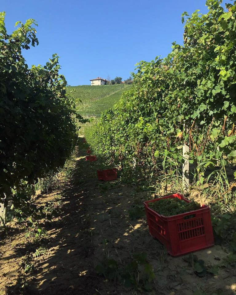 Silvano Bolmida Silvano Bolmida