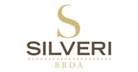 Silveri logo Silveri logo