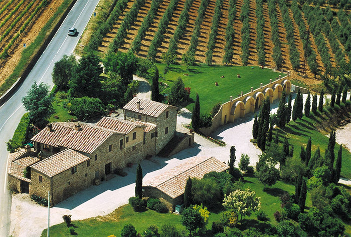 Solaria (Patrizia Cencioni)