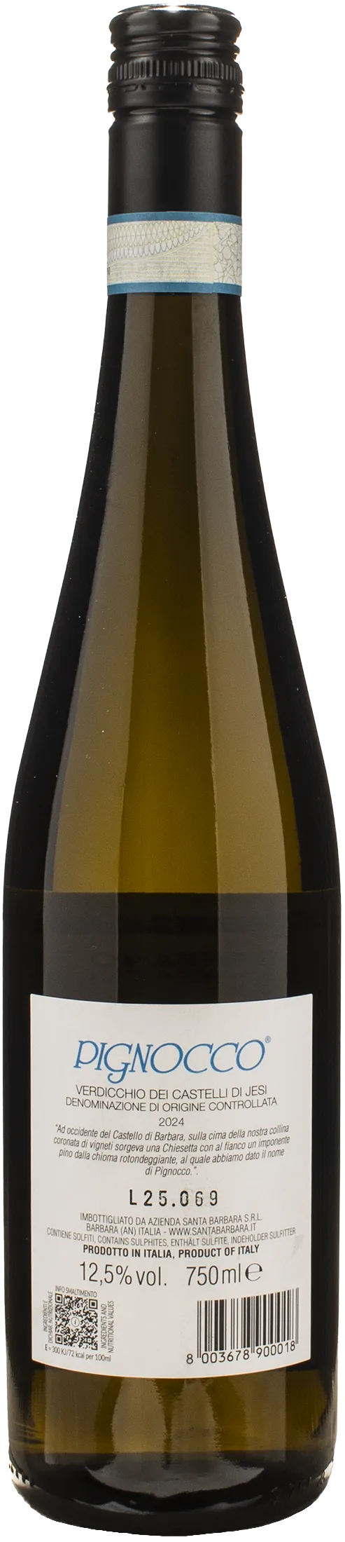 Stefano Antonucci Santa Barbara Verdicchio Castelli di Jesi Pignocco 2024