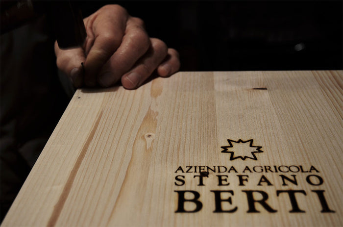 Stefano Berti