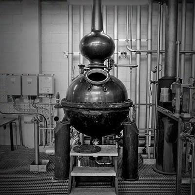 Tanqueray