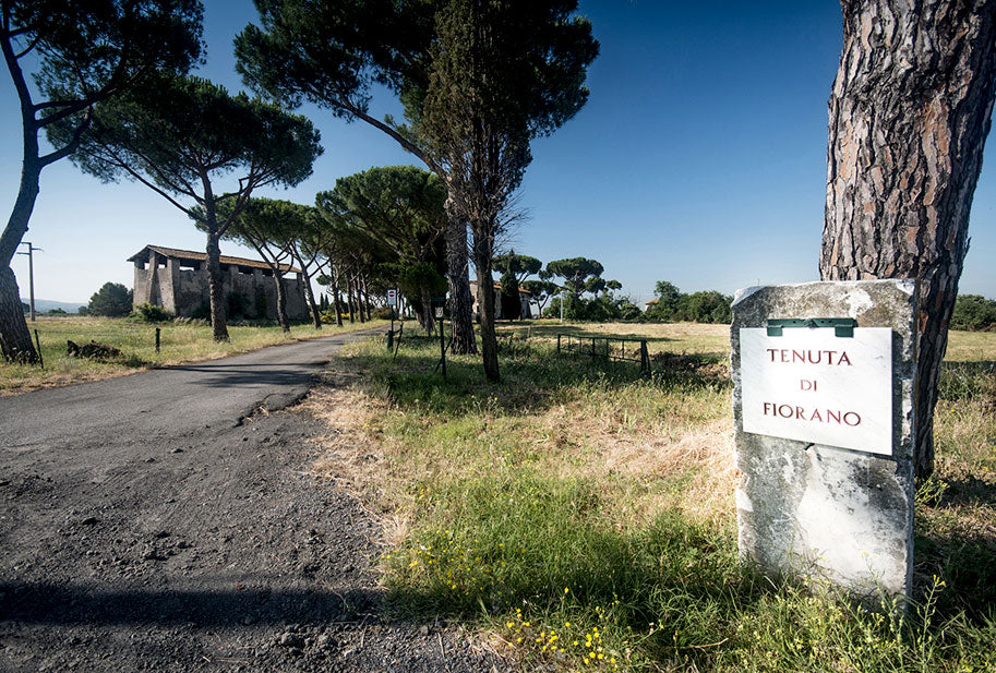 Tenuta di Fiorano Tenuta di Fiorano