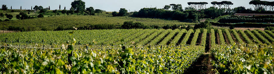Tenuta di Fiorano Tenuta di Fiorano