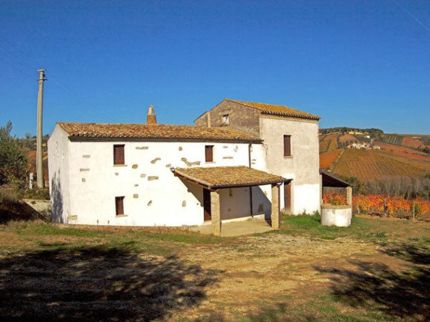 Tenuta I Fauri