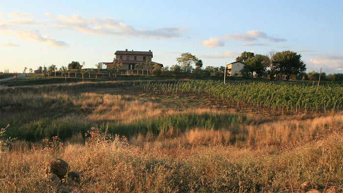 Tenuta Ribusieri