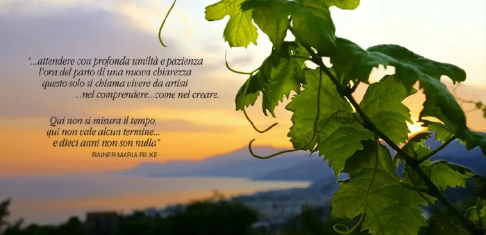 Tenuta Selvadolce