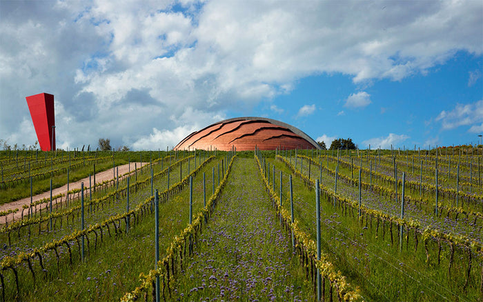 Tenute Lunelli - Tenuta Castelbuono