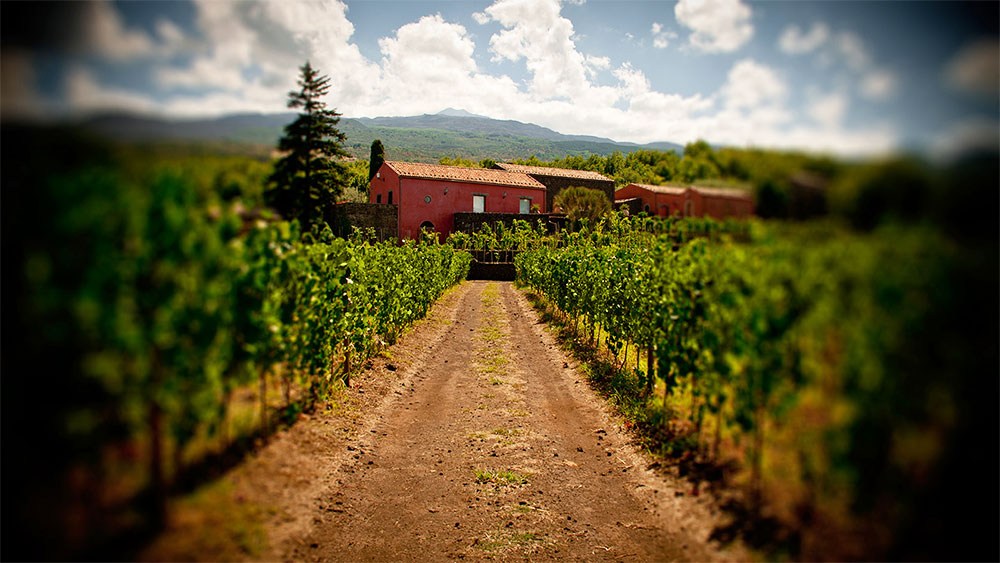 Terrazze dell'Etna Terrazze dell'Etna