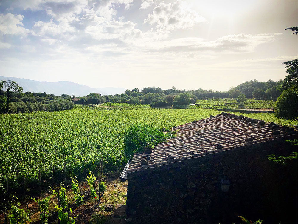 Terrazze dell'Etna Terrazze dell'Etna