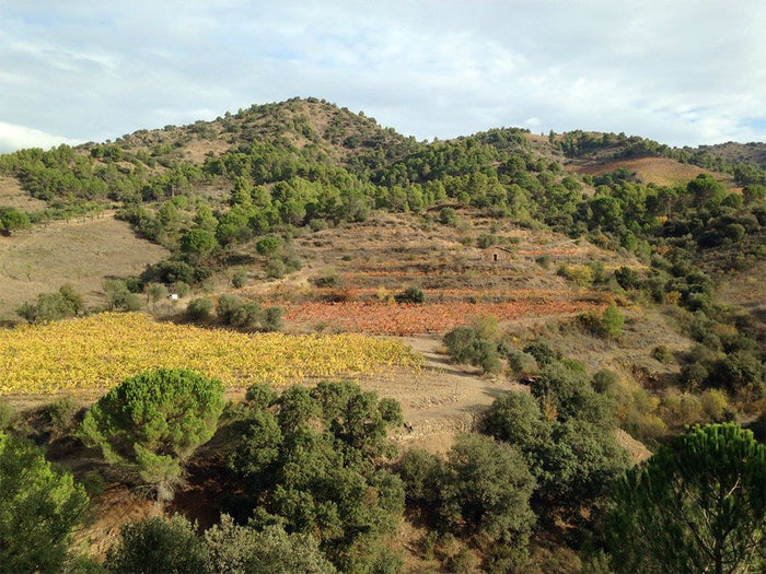 Terroir al Límit Soc. Lda
