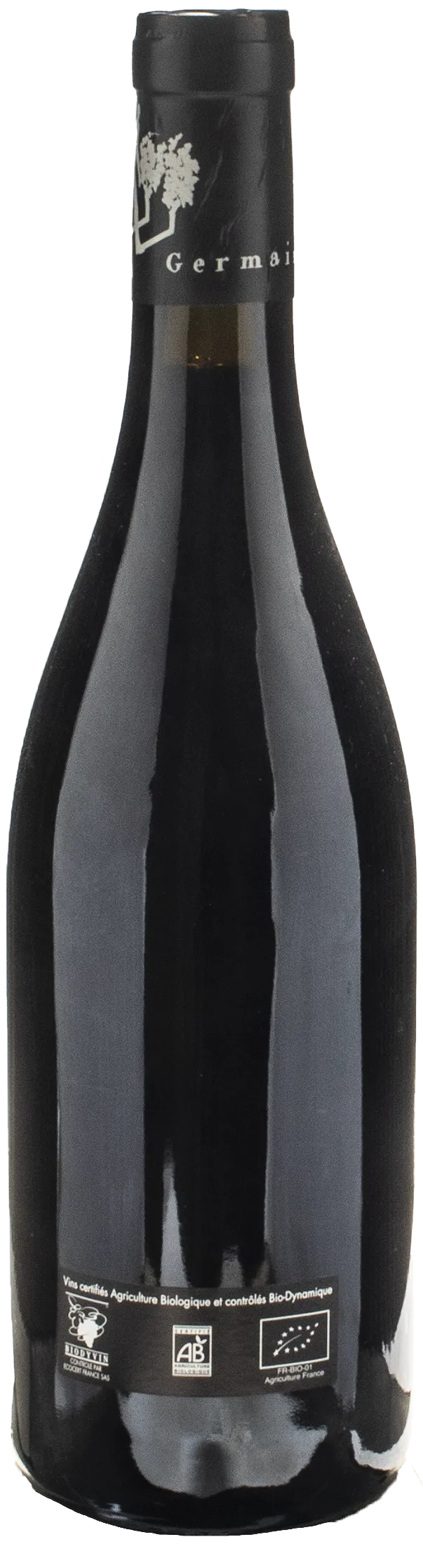 Thierry Germain Domaine des Roches Neuves Saumur Champigny Franc de Pied 2022