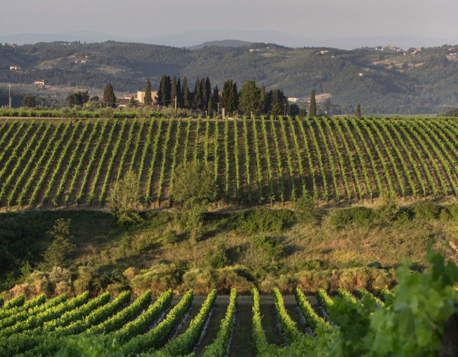 Tignanello (Antinori) Tignanello (Antinori)