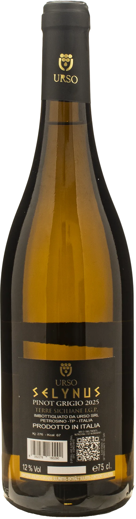 Urso Selynus Pinot Grigio 2025