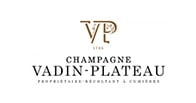 Vadin-Plateau logo Vadin-Plateau logo
