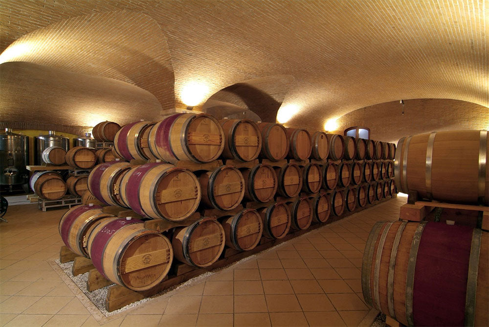 Valentina Cubi Valentina Cubi