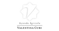 Valentina Cubi logo Valentina Cubi logo