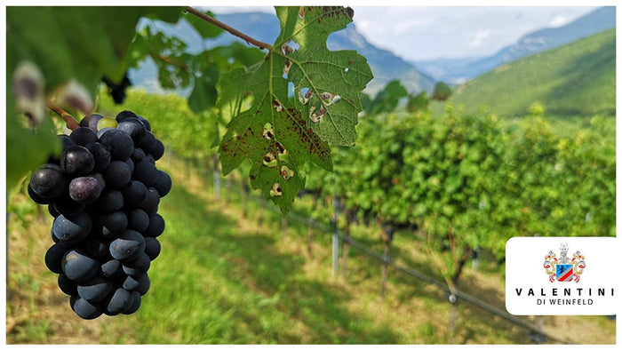 Valentini di Weinfeld