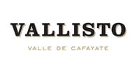 Vallisto logo Vallisto logo