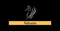 Valturio logo Valturio logo