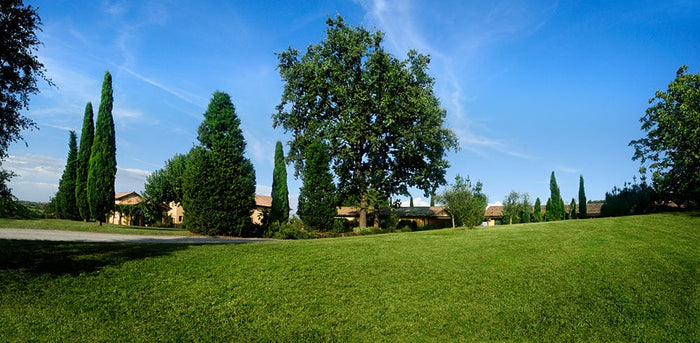 Venturini Baldini