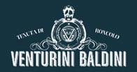 Venturini Baldini logo Venturini Baldini logo