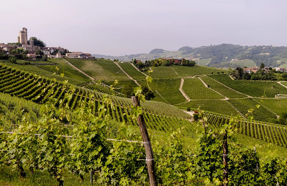 Vietti Vietti