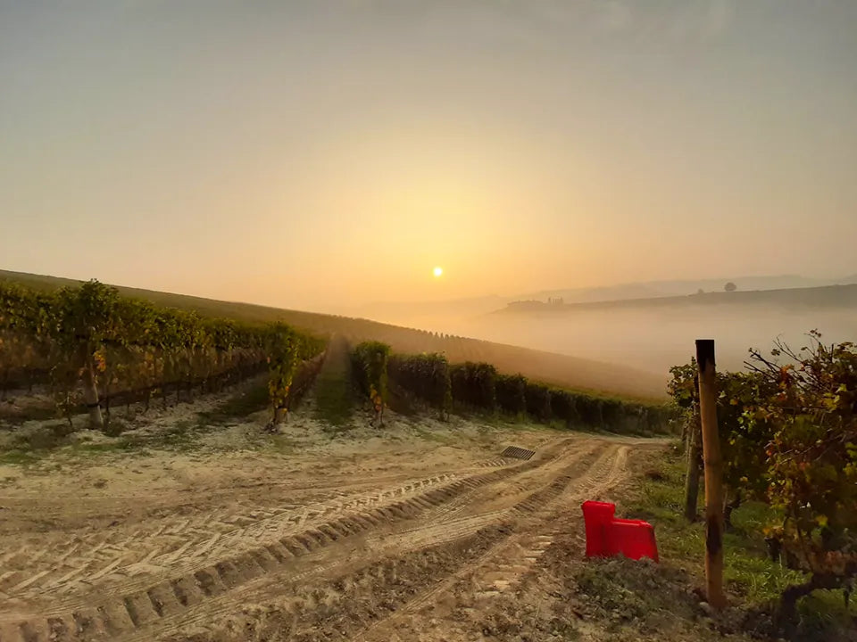 Vietti Vietti