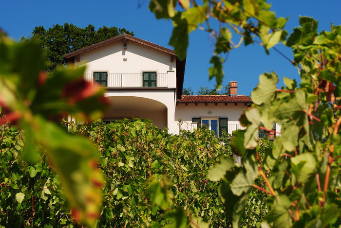 Vigne Marina Coppi