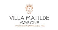 Villa Matilde logo Villa Matilde logo