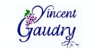 Vincent Gaudry logo Vincent Gaudry logo