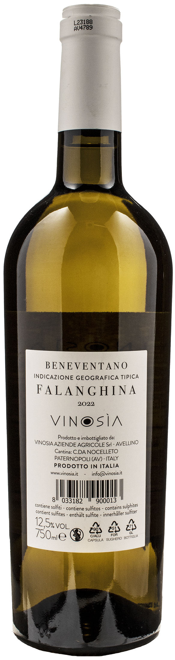 Vinosia Falanghina 2022