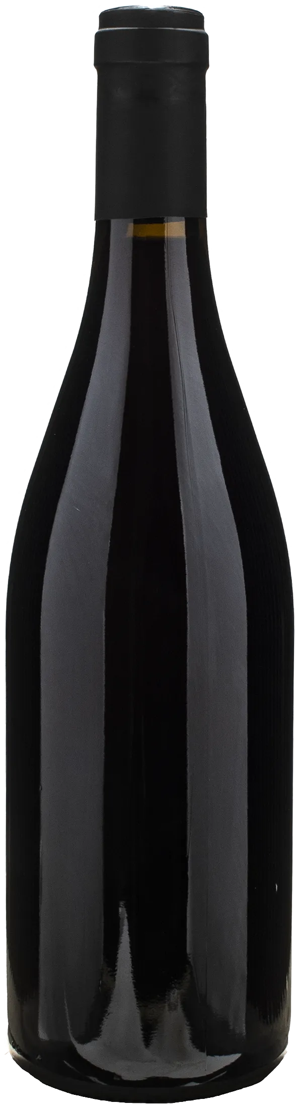 Sylvain Pataille Marsannay 2023